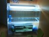 DSC00078.JPG