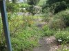 IMG_0550.JPG