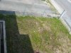 IMG_3814 Fish Room Site.JPG