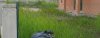 IMG_2374 Fish Room Site 3.JPG