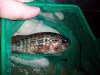 100_0172.jpg