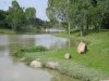 IMG_3112 Botanic Water Feature.JPG