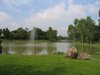 IMG_3111 Water Feature 2.JPG