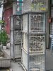 IMG_4813 Birds.JPG
