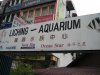IMG_4768 Liching Aquarium Jln Pasar.JPG