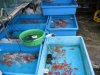 IMG_4758 Jln Pasar 2.JPG