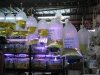IMG_4762 Jln Pasar 6.JPG