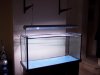 Tank Added.JPG