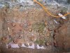 IMG_4200 Wooden Piles Wetted.JPG