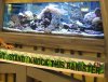 IMG_4663 Entrance Show Tank1.JPG