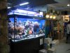 IMG_4675 First Store on the Right3 Salt water display.JPG