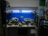 IMG_4702 First Store on the Right18 Saltwater display.JPG
