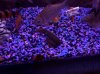 100_3477.JPG