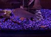 100_3515.JPG