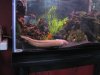 fish 018.JPG
