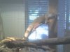 Apr15_0004.jpg