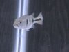 DSC00166.JPG