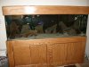 SANY0038 (Medium).JPG