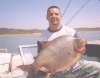 pacu1(1).jpg pacu1(1).jpg