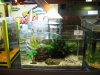 IMG_4708 Store2 Disp.JPG