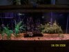 PAandFish04012008 151.jpg