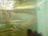 DSC00200.JPG