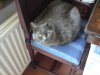 DSC00210.JPG