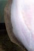 100_7488-1.JPG