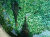 DSC00470.JPG