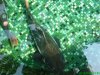 DSC00472.JPG