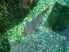 DSC00481.JPG