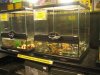 IMG_4738 Reptile Section.JPG