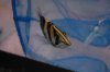 DSC_2199.JPG