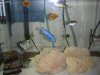 DSCN2149.JPG