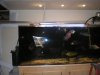 apri4 2008 006.jpg