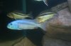 Pics 122007 314.jpg