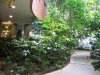 IMG_4659 General area2.JPG