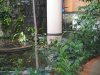 IMG_4656 Water Fall2.JPG