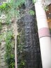 IMG_4655 How s that for a water fall feature.JPG