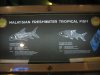 IMG_4652 Fish Signage4.JPG