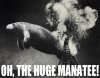 HugeManatee.jpg