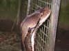 DSC00115.JPG