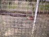 DSC00110.JPG