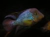 DSCN5904.jpg