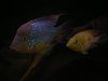 DSCN5906.jpg
