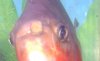 teeth2.JPG