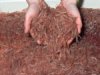 krillhands.jpg