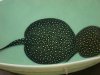 TFH pictures 129.JPG