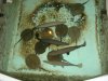 TFH pictures 164.JPG