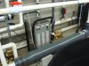 TFH pictures 036.JPG